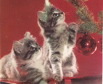 Christmas time with the kittens, red, twins, gifts, ornament, christmas kittens, tree HD wallpaper