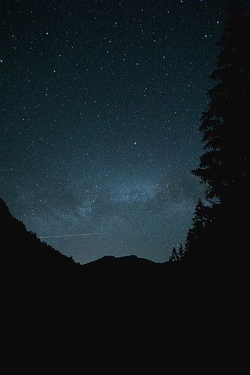 Trees, Night, Dark, Starry Sky, Hill HD phone wallpaper