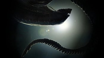 Aliens High Resolution HD wallpaper