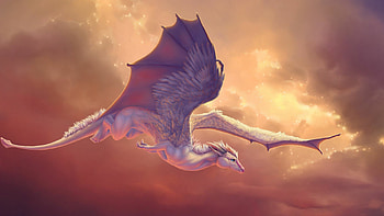 Cute dragons, Adorable creatures, Playful companions, Whimsical charm HD wallpaper