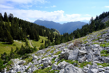 Landscape, Nature, Trees, Stones, Mountains, Road HD wallpaper