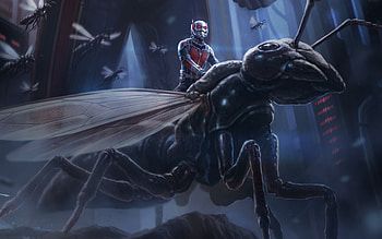 Ant-Man , 1600x900 HD wallpaper