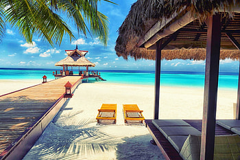 Tropical Beach, palms trees, holidays, paradise, beautiful, walkway, beach, summer, resort, ocean, white sand HD wallpaper
