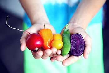 Vibrant fresh vegetables including radish, bell pepper, and peas held in hands symbolizing healthy eating. HD wallpaper