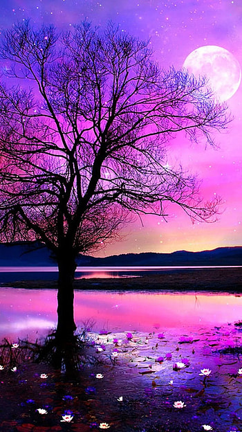 Nature for and Android ! Click the link below for Tech News n Gadget Updates. Beautiful nature , Beautiful , Nature, Cute Natural HD phone wallpaper