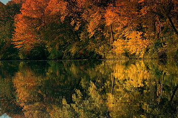 Autumn Reflection, colorful, reflection, trees, autumn, nature, forest, lake, pond HD wallpaper