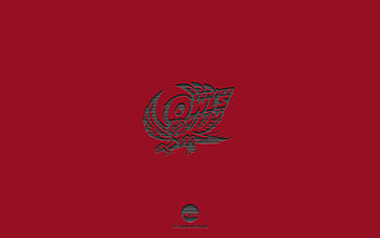 Temple Owls, burgundy background, American football team, Temple Owls emblem, NCAA, Pennsylvania, USA, American football, Temple Owls logo HD wallpaper