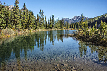 Nature, Sky, Mountains, Lake, Spruce, Fir HD wallpaper