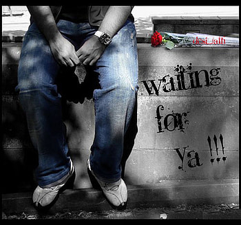 love, rose, wait HD wallpaper