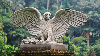 Majestic Macaw: A Stunning Ultra, macaw, sculpture, eagle, wings, nature HD wallpaper