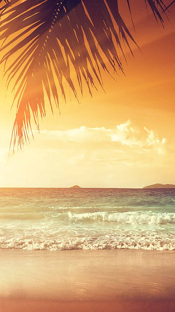Tropical beach sunset, U HD phone wallpaper