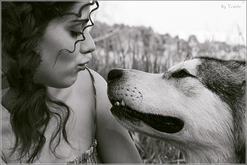 FRIENDS OF A LIFETIME, dog, graphy, bw, friends, woman HD wallpaper
