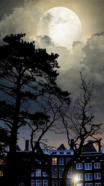 Full Moon Night in the City, tree, cloud, night, earth, nature, moon HD phone wallpaper