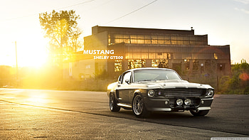 Mustang Shelby GT500 Wide for HD wallpaper