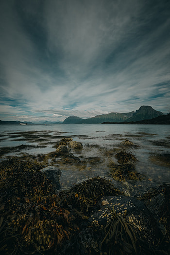 Nature, Stones, Mountains, Lake, Shore, Bank, Seaweed, Algae HD phone wallpaper