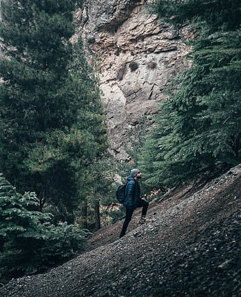 A man hikes on a rocky mountain trail surrounded by tall trees, showcasing adventure and exploration. HD phone wallpaper