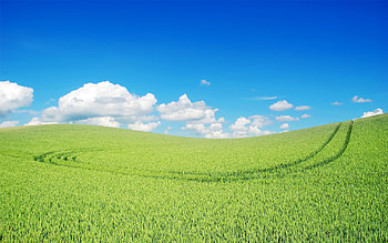 Green Landscape Beautiful, green, beautiful, landscape, nature HD wallpaper