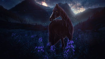 Horse Meadow Night Flowers , horse, artist, artwork, digital-art, deviantart HD wallpaper