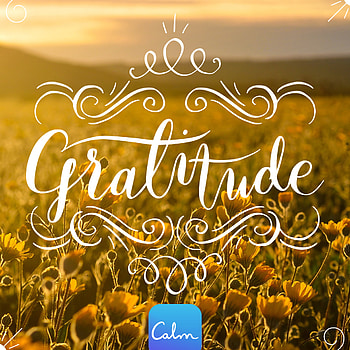 Gratitude calm blog, Calmness through gratitude, Mindful practice, Inner peace HD phone wallpaper