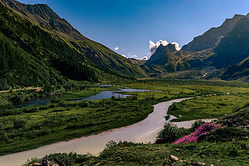 Landscape, Nature, Flowers, Rivers, Mountains, Rocks HD wallpaper
