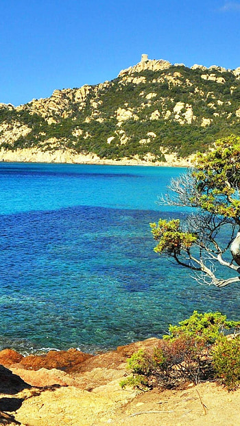 Corsica Island, Top Corsica, Corsica backgrounds HD phone wallpaper