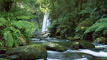 Australia10, river, fun, waterfall, cool, nature, forest HD wallpaper