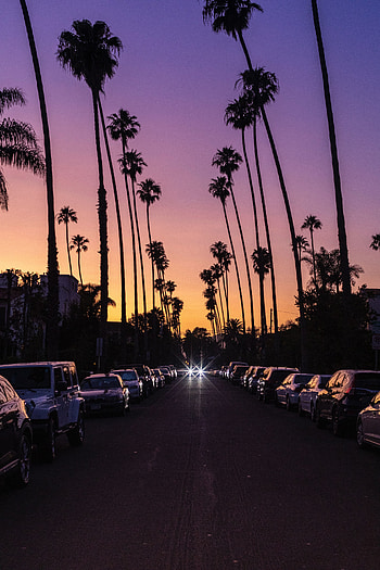 Auto, Twilight, Palms, Dark, Road, Dusk, Street HD phone wallpaper
