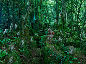 The monkey boy, monkey, copil, julia fullerton batten, boy, fantasy, green, jungle, forest, child HD wallpaper