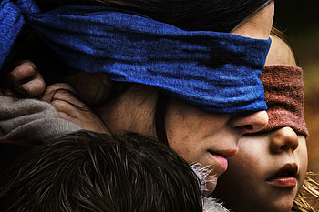Bird Box 2018 , bird-box, movies, 2018-movies, netflix HD wallpaper