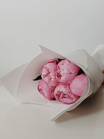 A delicate bouquet of pink peonies elegantly wrapped in white paper for weddings and special occasions. HD phone wallpaper
