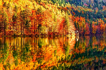 October, colorful, glow, colors, nice, reflection, shine, autumn, golden, fall, beautiful, tree, falling, leaves, mirrored, pretty, branches, nature, lovely, foliage HD wallpaper