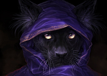 Funny Panther, animal, abstract, 3d, panther, funny HD wallpaper