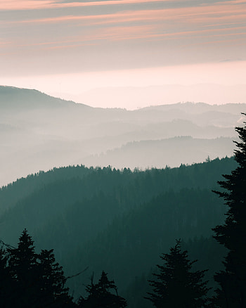 Nature, Trees, Sky, Mountains, Dawn, Fog HD phone wallpaper
