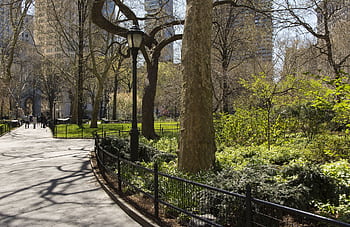A sunny spring day in Central Park, New York City, showcasing lush greenery and skyscrapers. HD wallpaper