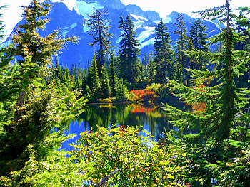 Autumn Lake, mirror, trees, autumn, nature, forest, lake, mountain HD wallpaper