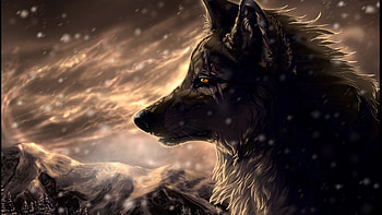 Collection of Cool Anime on Anime ). Fantasy Wolf ... HD wallpaper