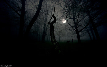 Dark scene. HD wallpaper