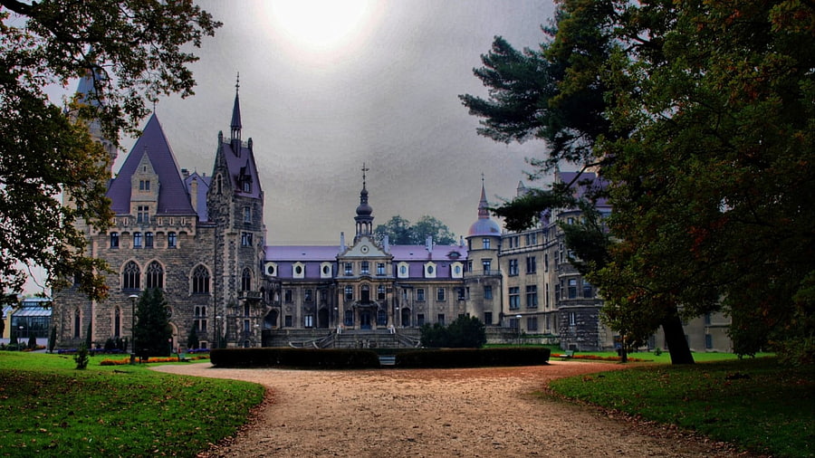 purple roof on moszna castle in poland, purple, roof, driveway, trees, castle, overcast HD wallpaper