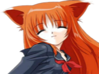 Neko HD wallpaper