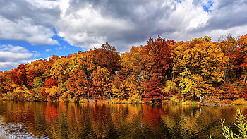 Autumn forest lake, Nature , Landscape graphy, Fall scenery HD wallpaper