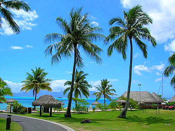 Cool Beach, view, beautiful HD wallpaper