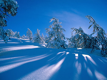 Landscape, Winter, Trees, Snow HD wallpaper