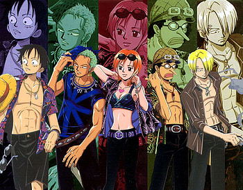 One Piece crew, one piece, pirates, anime HD wallpaper