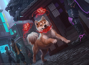 Spirited companion, dog, running, art, fantasy, ilse gort, red HD wallpaper