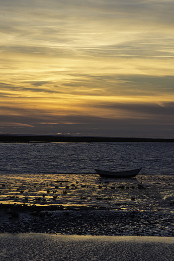 Nature, Sunset, Horizon, Boat HD phone wallpaper