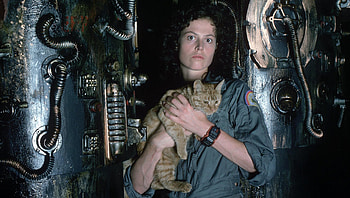 Alien (2022) movie HD wallpaper