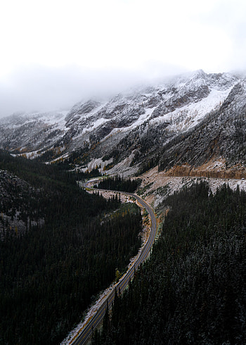 Nature, Mountains, Wood, Wooden, Road, Forest, Sinuous, Winding HD phone wallpaper