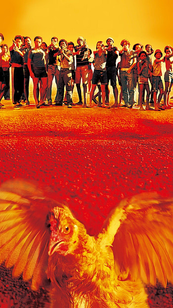 Poster, City of God HD phone wallpaper