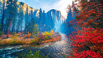 Merced River, Yosemite Valley, California, leaves, fall, landscape, trees, colors, sky, mountains, usa HD wallpaper
