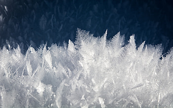 Snowflakes, winter, snowflake, graphy, snow HD wallpaper